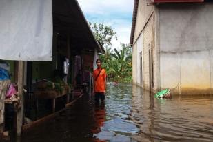 1.000 Rumah Terendam Akibat Banjir Di Sanggau, Kalbar