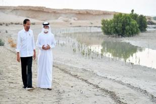 Jokowi Tanam Mangrove di Uni Emirat Arab