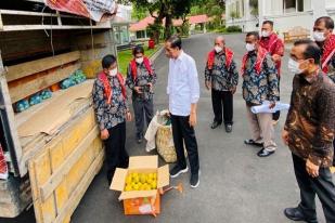 Jokowi Dapat Oleh-oleh dari Petani Karo Tiga Ton Jeruk