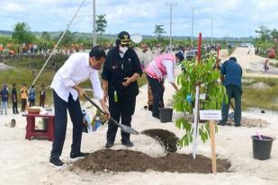 Jokowi dan Masyarakat Tanam Pohon di Bekas Tambang di Kalbar