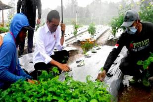 Jokowi Dialog Lumbung Pangan dengan Petani Wonosobo