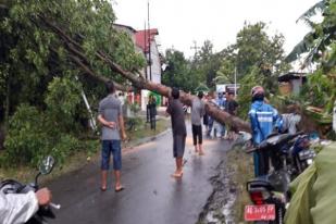 Angin Kencang Landa Madiun, 55 Rumah Rusak