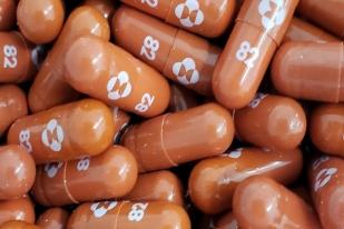 Lebih 20 Negara Akan Produksi Pil Obat COVID-19 Molnupiravir