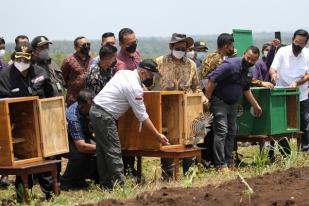 Enam Ekor Elang Alap Jambul Dilepasliarkan di Yogyakarta