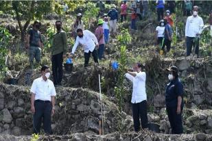 Jokowi Tanam Pohon Bersama Masyarakat di Humbang Hasundutan