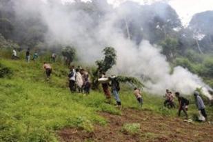 Polisi Musnahkan Dua Hektare Ladang Ganja di Mandailing Natal