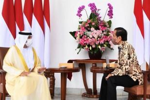 Jokowi Terima Delegasi UEA Bahas Rencana Kerja Sama