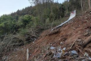 Pesawat Dengan 132 Penumpang Jatuh di China