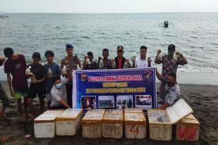 Petugas Hentikan Penyelundupan Karang Laut Hidup di NTB