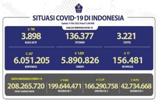 COVID-19 di Indonesia, Kasus Baru: 247