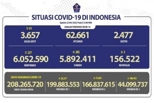 COVID-19 Indonesia, Kasus Baru: 227