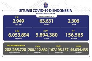 COVID-19 di Indonesia, Kasus Baru: 224