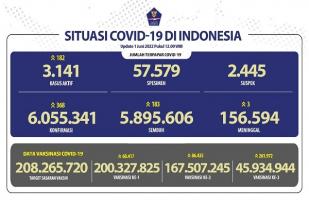 COVID-19 di Indonesia, Kasus Baru: 333