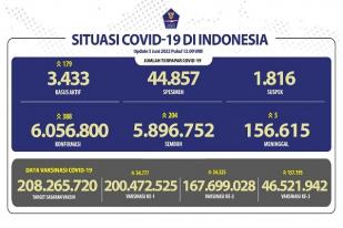 COVID-19 Indonesia, Kasus Baru: 388