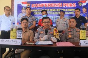 Polisi Ungkap Penyelundupan Belasan Ribu Benih Lobster di NTB