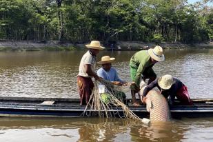 Satu Juta Spesies Menuju Kepunahan Akibat Eksploitasi dan Perubahan Iklim