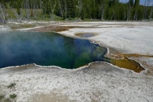 Petugas Selidiki Adanya Jejak Kaki di Sumber Air Panas di Yellowstone, AS