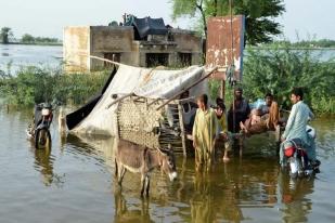 Kerugian Akibat Banjir di Pakistan Mencapai Lebih dari US$ 10 Miliar