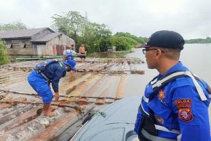 Polisi Kotawaringin Timur Tangkap Pembalak Liar dan Sita 200 Batang Kayu