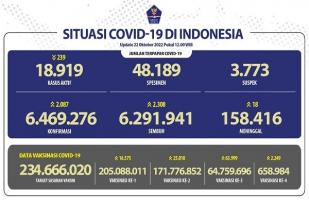 COVID-19 di Indonesia, Kasus Baru: 2.087
