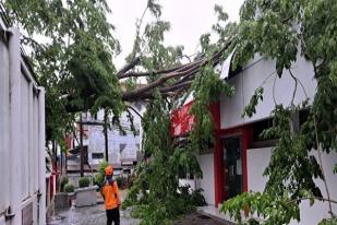 Kendal: Banjir dan Pohon Tumbang Akibat Hujan Lebat dan Angin Kencang