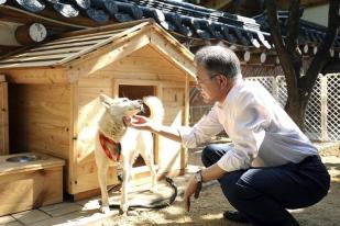 Anjing dari Kim Jong Un Jadi Bahan Pertengkaran Presiden dan Mantan Presiden Korea Selatan