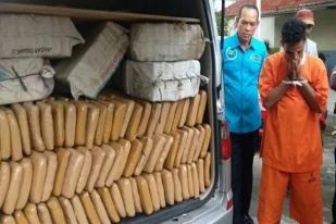 Polda Sumut Tangkap Kurir Membawa 200 Kilogram Ganja