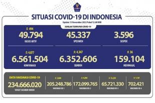 COVID-19 di Indonesia, Kasus Baru: 4.877