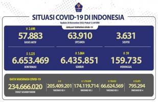 COVID-19 di Indonesia, Kasus Baru Harian: 3.225