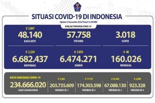 COVID-19 di Indonesia, Kasus Baru Harian: 2.234