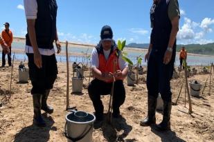 Cegah Bahaya Tsunami, BNPB Tanam Mangrove di Pacitan