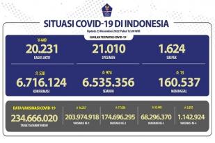 COVID-19 di Indonesia, Kasus Baru Harian: 538