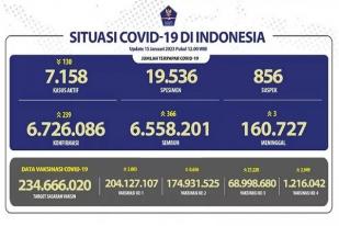COVID-19 di Indonesia, Kasus Baru Harian: 239