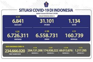 COVID-19 di Indonesia, Kasus Baru Harian: 225