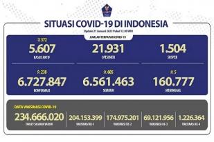 COVID-19 di Indonesia, Kasus Baru Harian: 238