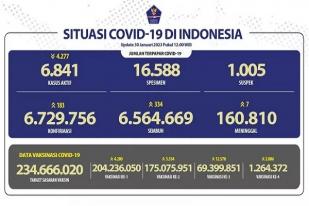 COVID-19 di Indonesia, Kasus Baru Harian: 183