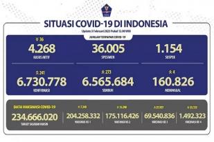 COVID-19 di Indonesia, Kasus Baru Harian: 241