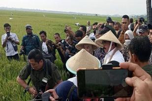 Menteri Agraria Akan Tindak Tegas Mafia Tanah