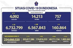 COVID-19 di Indonesia, Kasus Baru Harian: 181