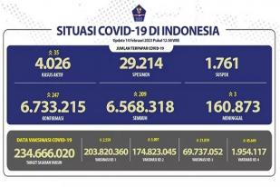 COVID-19 di Indonesia, Kasus Baru Harian: 247