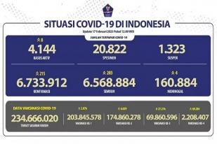 COVID-19 di Indonesia, Kasus Baru Harian: 215