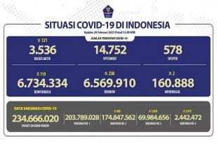 COVID-19 di Indonesia, Kasus Baru Harian: 119