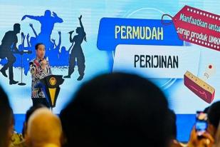 Jokowi Dorong Hilirisasi Berbagai Bidang di Setiap Daerah