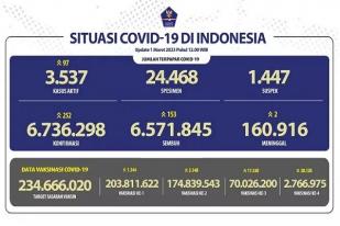COVID-19 di Indonesia, Kasus Baru Harian: 252