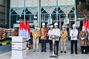 Panen Raya Padi Dimulai, Presiden Minta Bulog Serap Gabah Petani