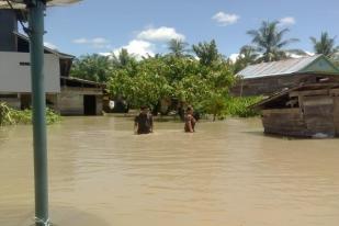 Banjir Melanda Kabupaten Luwu Utara, 290 Rumah Terendam