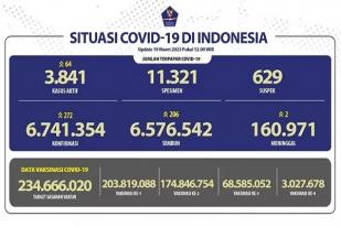 COVID-19 di Indonesia, Kasus Baru: 272
