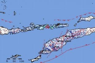 Gempa Bumi Berkekuatan 5.0 Guncang Lembata, NTT