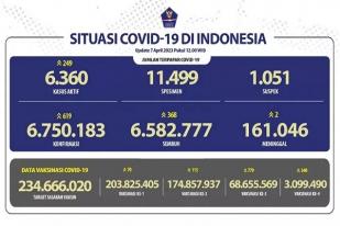COVID-19 di Indonesia, Kasus Baru: 619