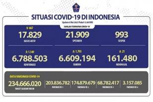 Indonesia Persiapkan Transisi Mengakhiri Kedaruratan COVID-19